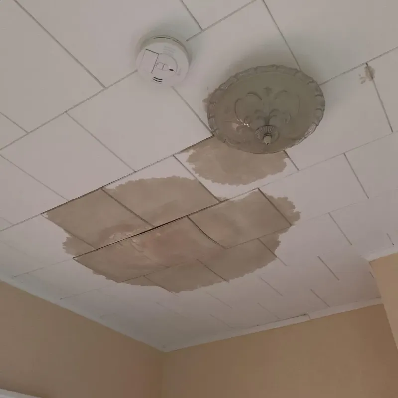 Ceiling Water Damage Repair in Jamaica, VT