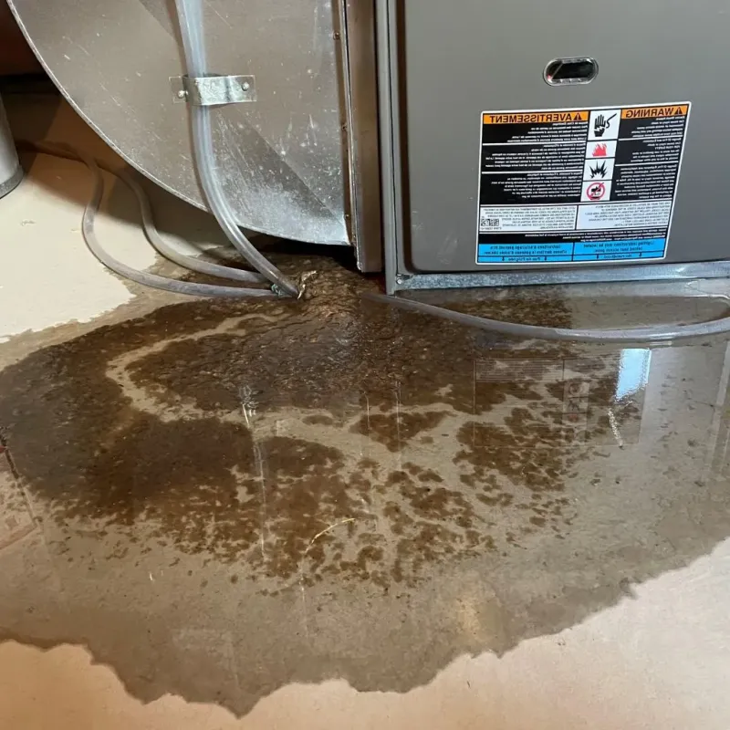 Pipe Burst and Leak Restoration in Jamaica, VT